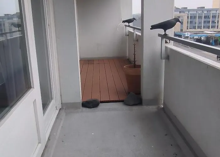 Mindestbuchung 3 Monate!!! Optimal Gelegen In Ni, Nur 10 Km Nach Frankfurt Main Und Zum Flughafen